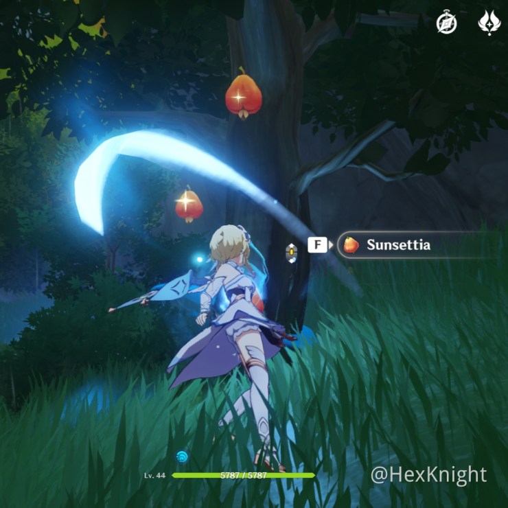 Foraging Sunsetta With Rasengan Genshin Impact Official Community