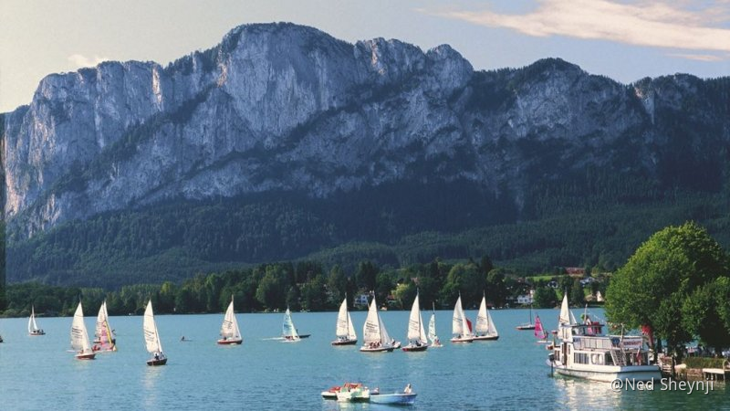 Single mondsee