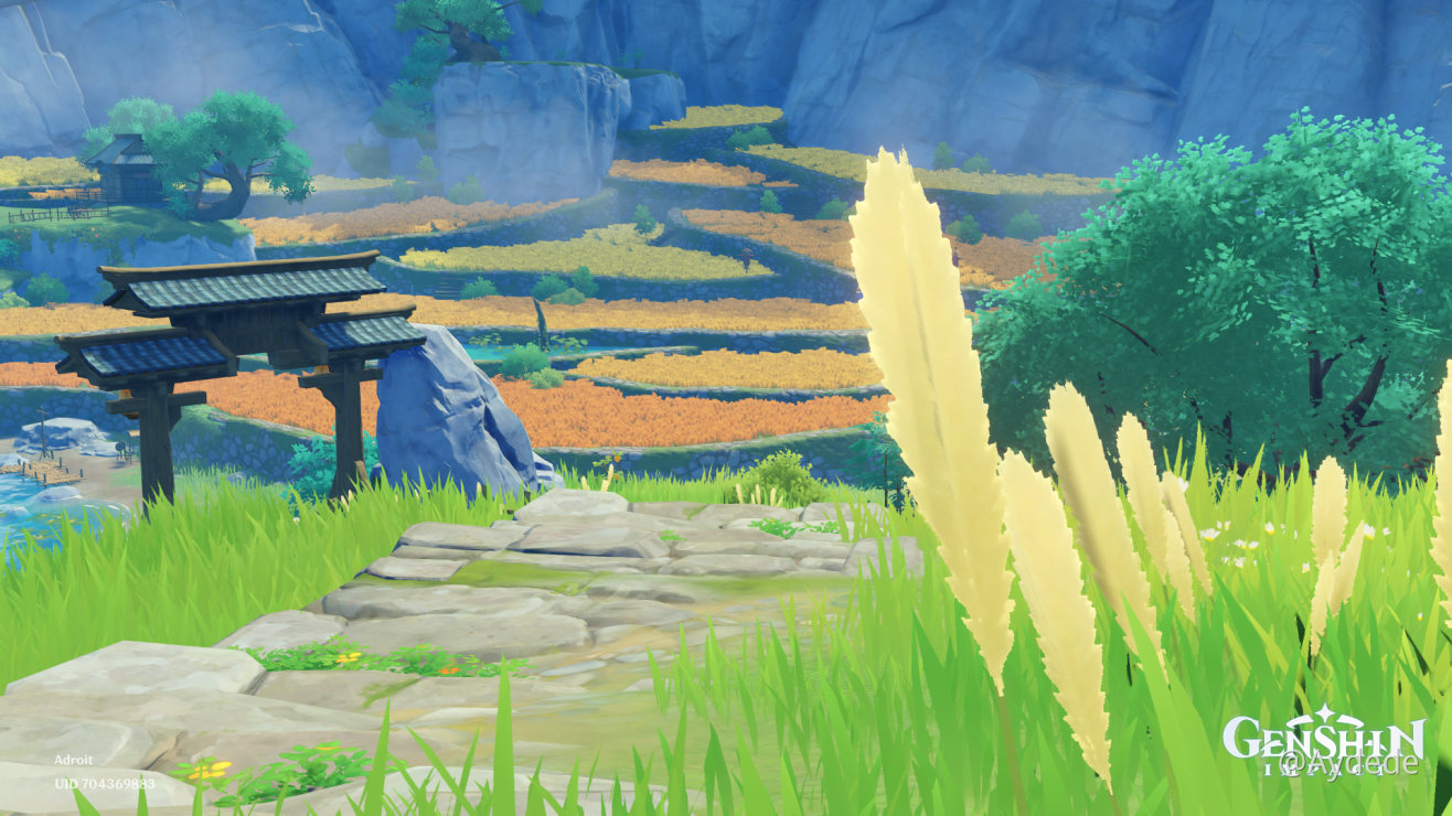 Qingce Village Fields... Genshin Impact HoYoLAB