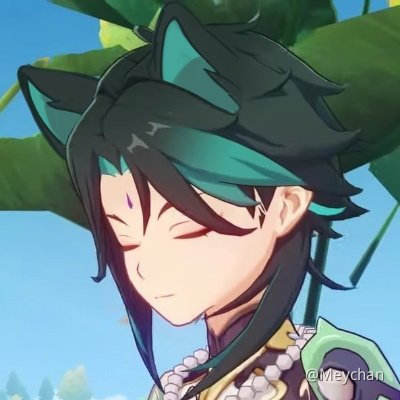 Xiao Cat Boy Genshin Impact Official Community
