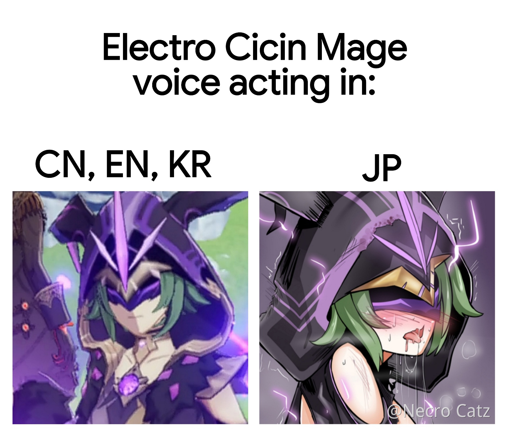 Electro Cicin  Mage JP Voice Genshin Impact Official 