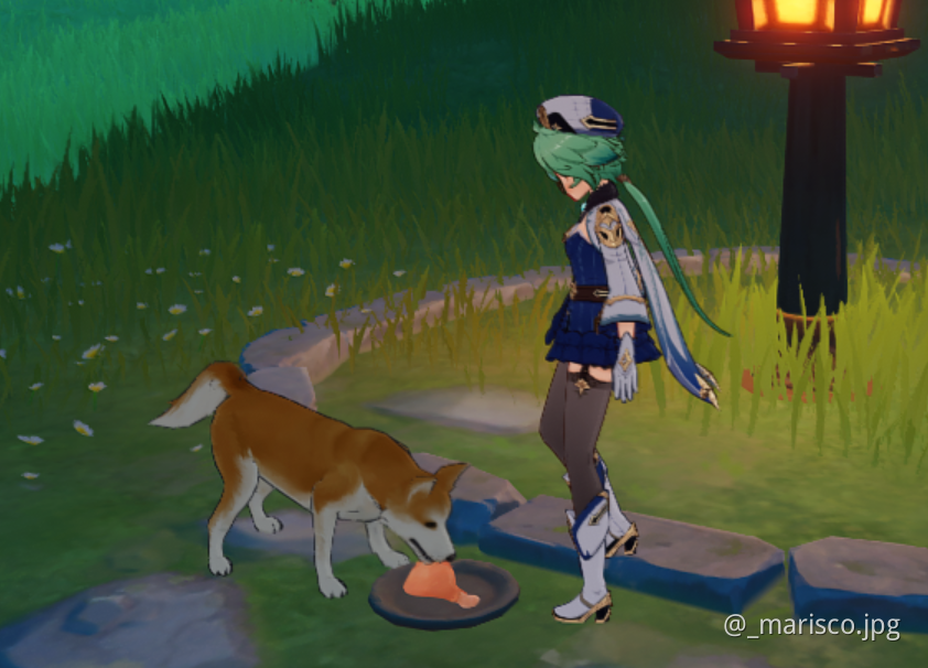 How to feed a dog Genshin Impact HoYoLAB