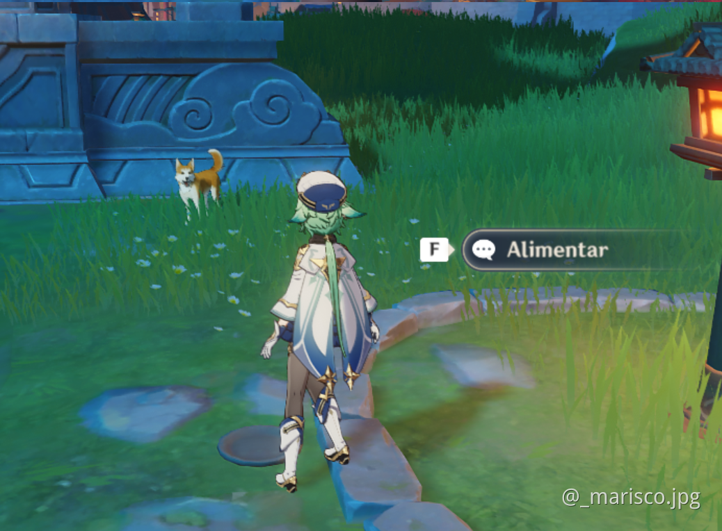 How to feed a dog Genshin Impact HoYoLAB