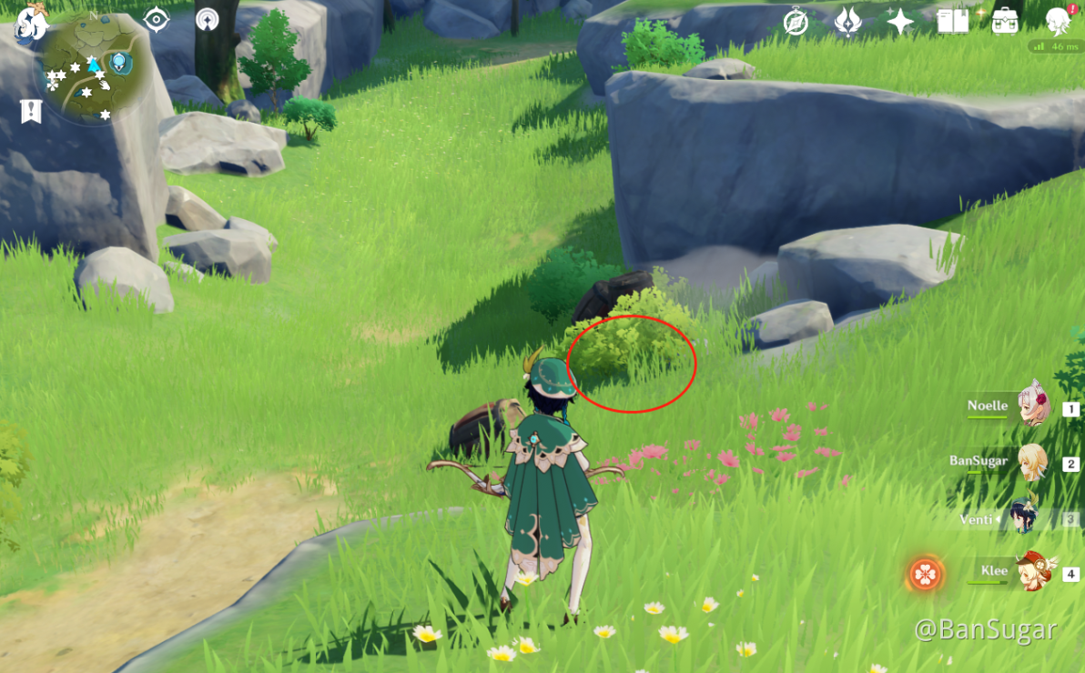 [Guide] Mondstadt Efficient Chests Route Whispering Woods (91111