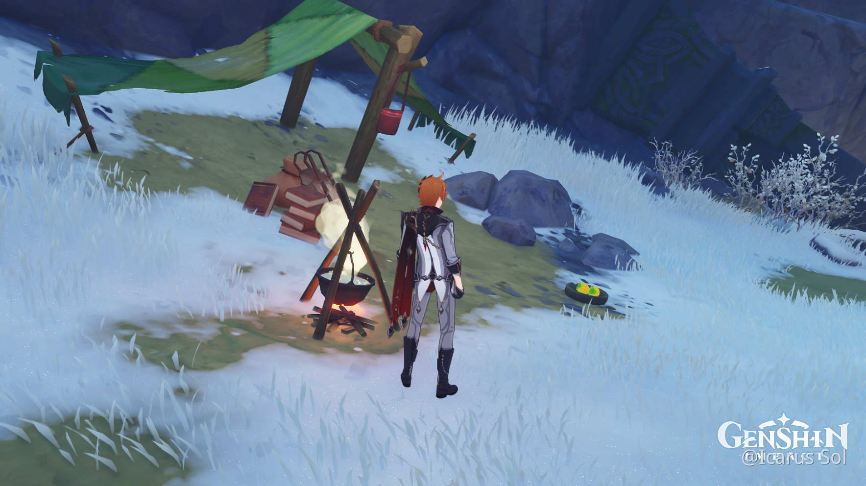 how do i get the fox to eat the berrys ?? Genshin Impact HoYoLAB