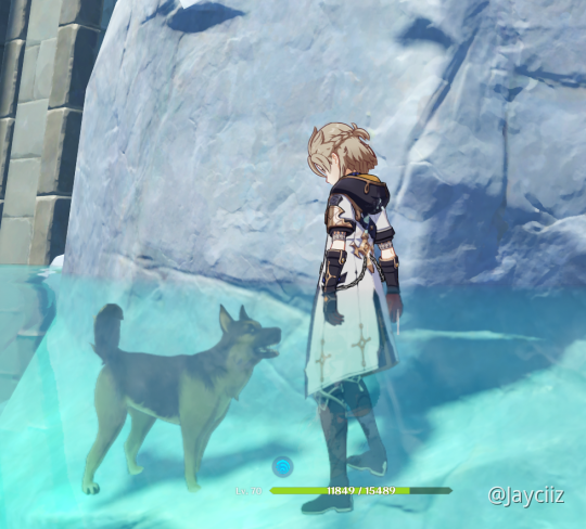 guys, dogs can't drown - miHoYo Player Community