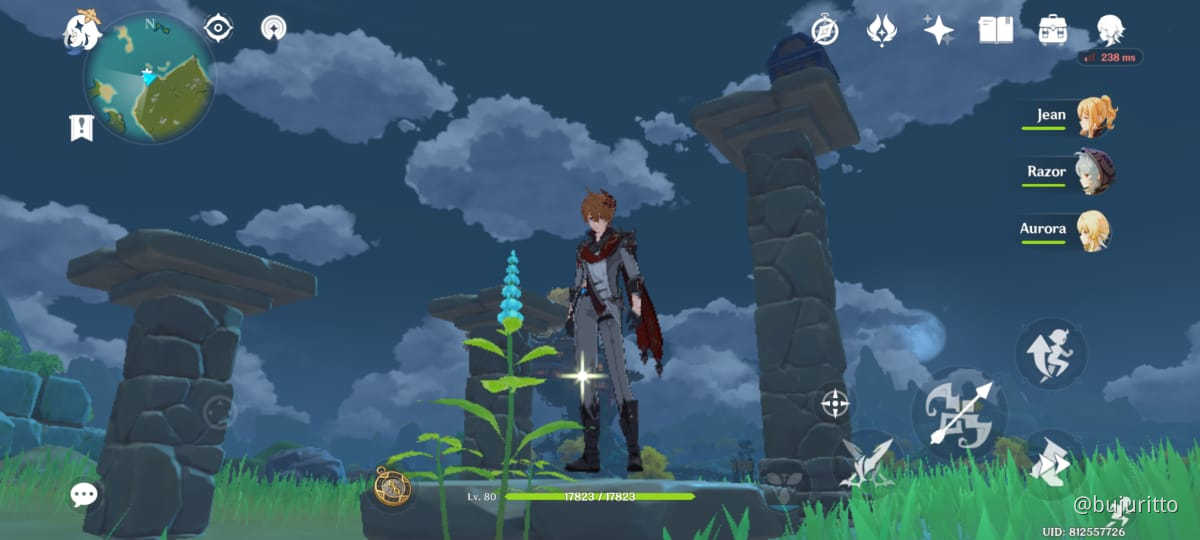 Chest on Pillars Genshin Impact HoYoLAB