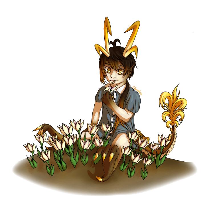 Cecile\'S Garden Genshin Impact / Anime Genshin Impact ...