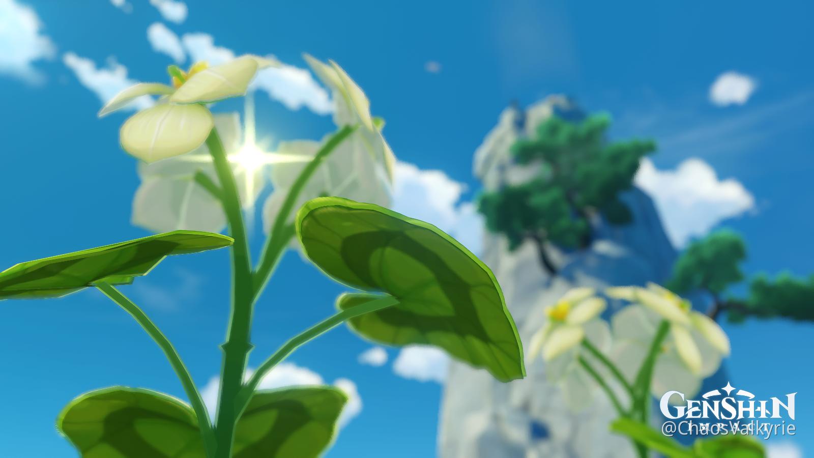 Kamera Time (Flowers of Liyue) Genshin Impact HoYoLAB