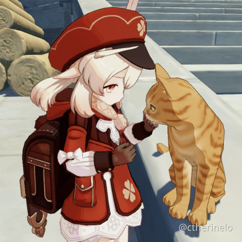 Some Klee & Teyvat cat photos to brighten up your day Genshin Impact HoYoLAB