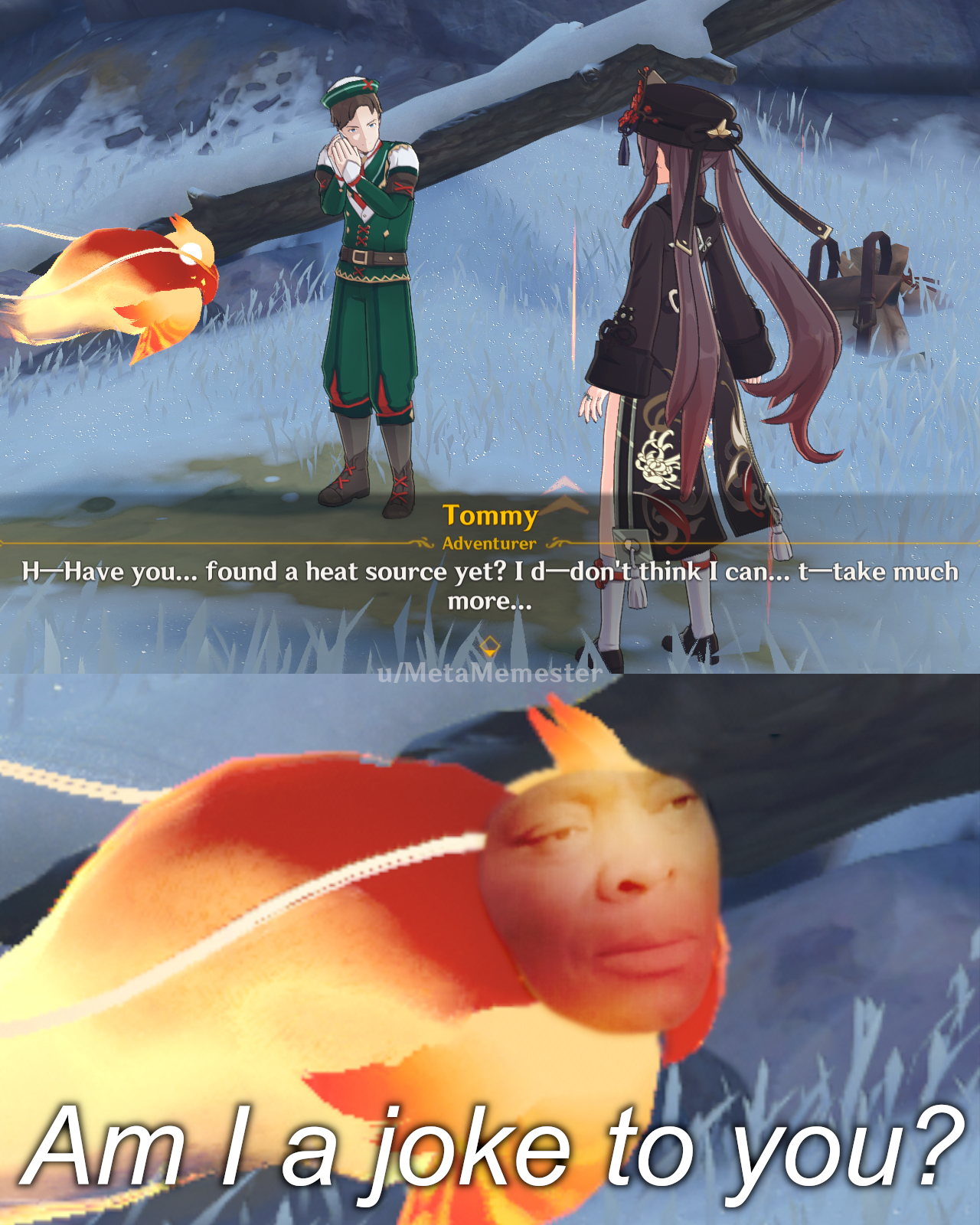 Are you serious, Tommy? Genshin Impact HoYoLAB