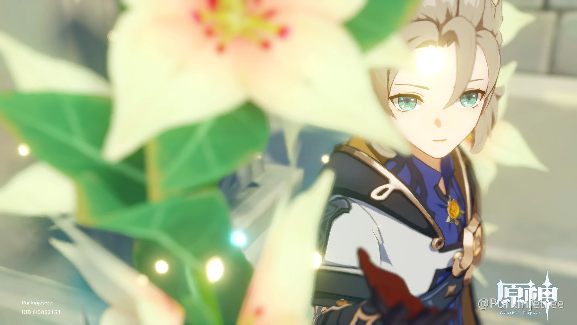 Cecilia Genshin Impact HoYoLAB