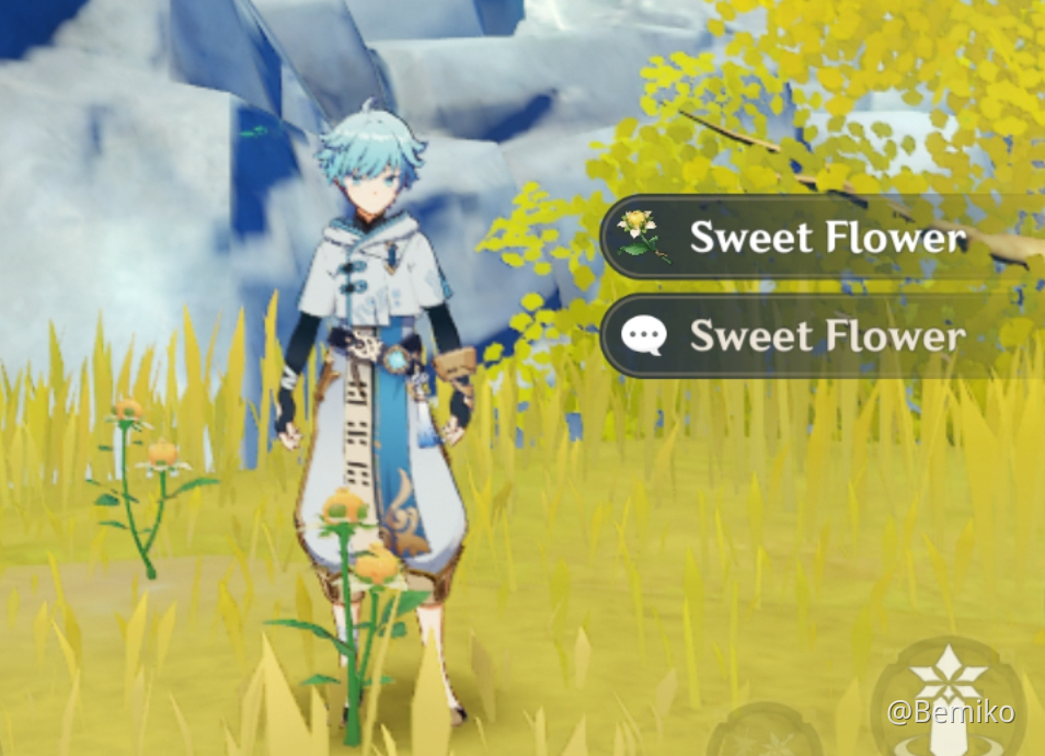 Inside you there are two sweet flowers Genshin Impact HoYoLAB