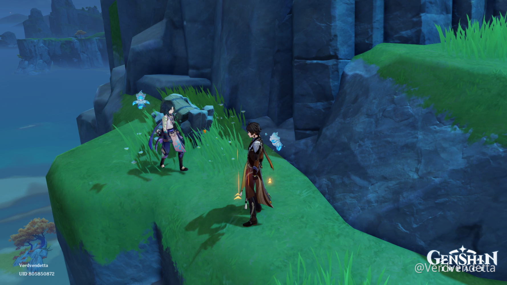 Coop Bugged Chest Genshin Impact HoYoLAB